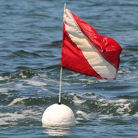 Business Profile Image